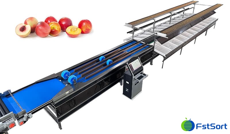 images/1739172989045stone fruit sorting machine.jpg